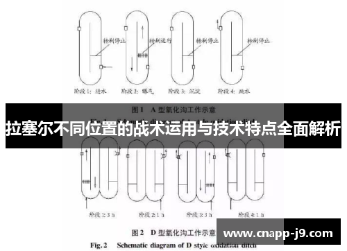 拉塞尔不同位置的战术运用与技术特点全面解析