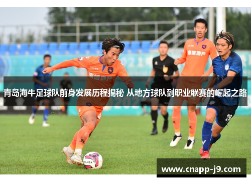 青岛海牛足球队前身发展历程揭秘 从地方球队到职业联赛的崛起之路