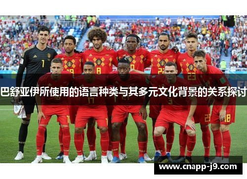 巴舒亚伊所使用的语言种类与其多元文化背景的关系探讨 巴舒亚伊所使用的语言种类与其多元文化背景的关系探讨