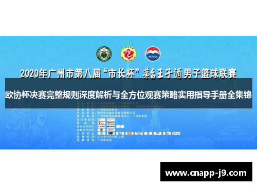 欧协杯决赛完整规则深度解析与全方位观赛策略实用指导手册全集锦