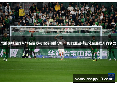 成都蓉城足球队转会目标与市场策略分析：如何通过精细化布局提升竞争力