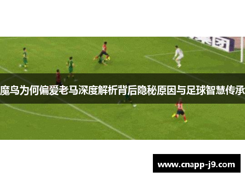 魔鸟为何偏爱老马深度解析背后隐秘原因与足球智慧传承