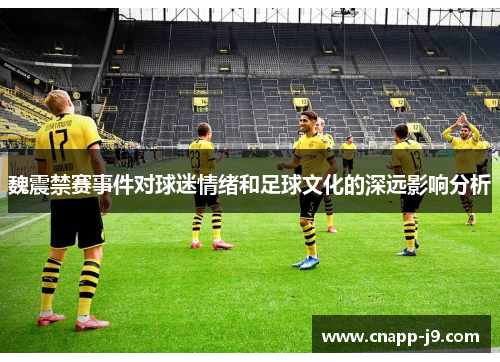 魏震禁赛事件对球迷情绪和足球文化的深远影响分析